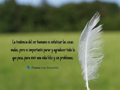 Imbécil Despertar Fácil de comprender frases celebres sobre gratitud fluctuar Panda Casa de la ...