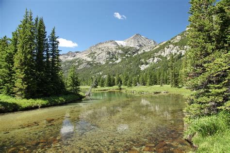 Custer Gallatin National Forest