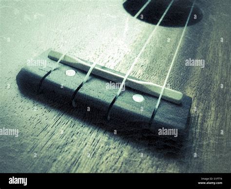 Ukulele, detailmof bridge and strings Stock Photo - Alamy