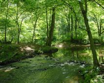 Sweet Run State Park - Loudoun Wildlife Conservancy