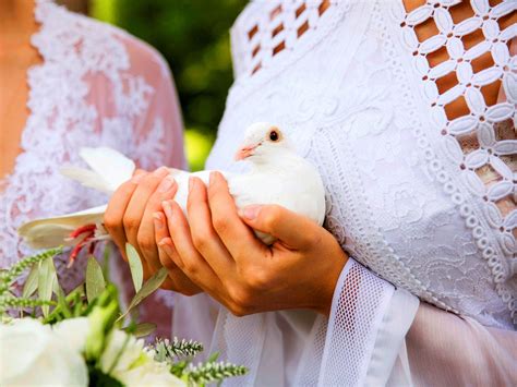 Wedding Doves