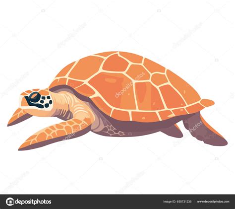 Slow Steady Tortoise Crawls White Stock Vector by ©grgroupstock 655731236