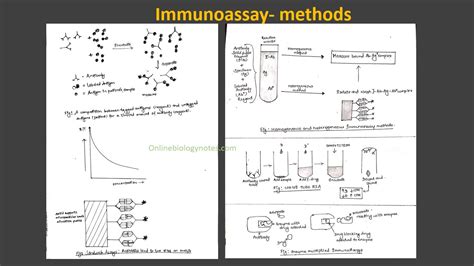 Immunoassay: Principle and Methods - Online Biology Notes