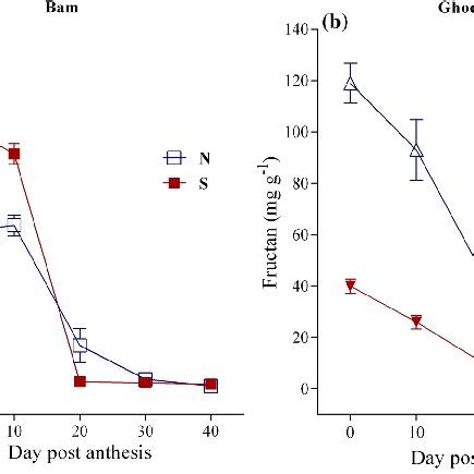 Penultimate fructan content during post-anthesis period in wheat... | Download Scientific Diagram