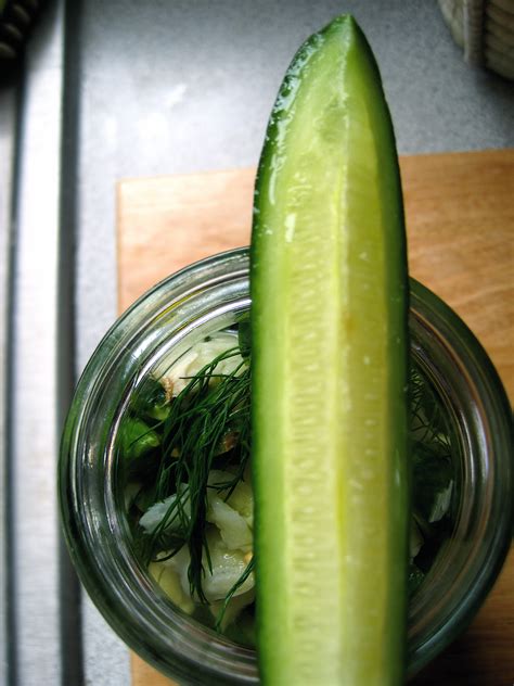 24 Hour Dill Pickles Recipe on Food52