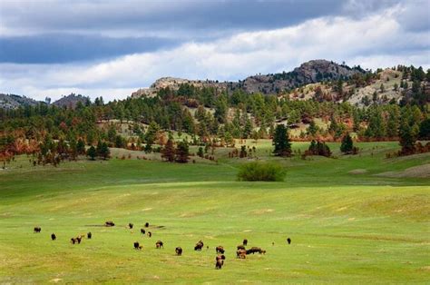 Book Tickets & Tours - Black Hills, South Dakota - Viator