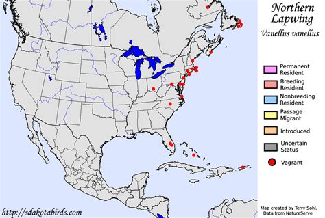 Northern Lapwing - Species Range Map