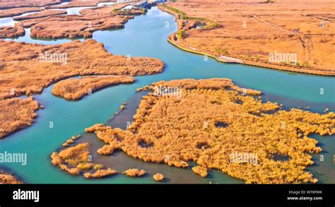 Landscape of Zhangye National Wetland Park in Zhangye city, northwest ...