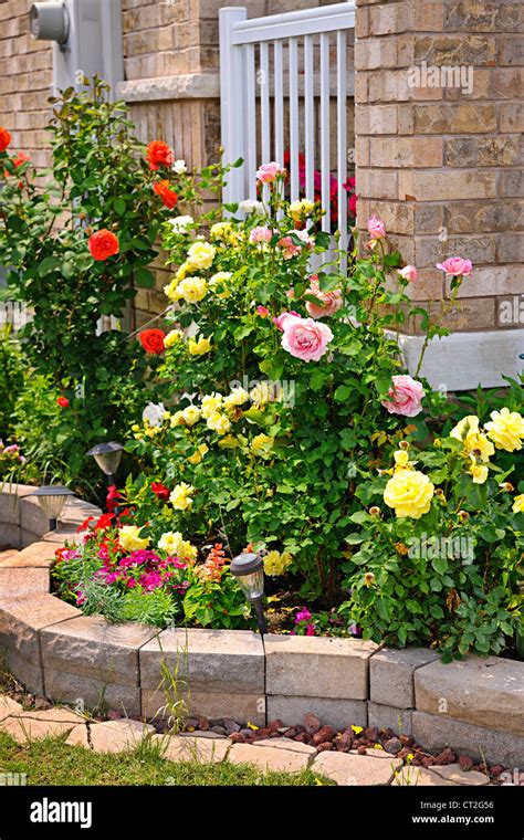 Natural stone landscaping in home rose garden Stock Photo - Alamy