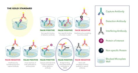 Immunoassay Quality Controls : R&D Systems