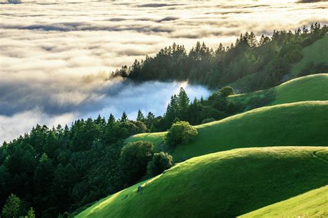 Mount Tamalpais ultimate guide: A haven for SF hiking and more