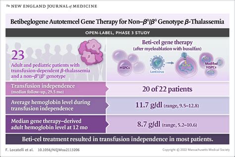 Gene therapy promotes transfusion independence for severe beta-thalassemia