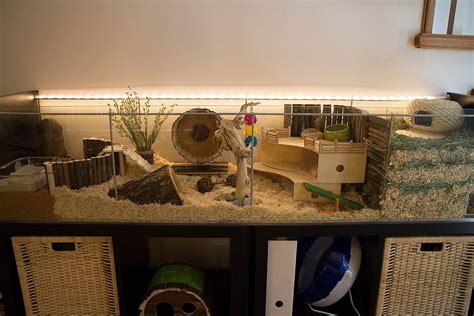 https://flic.kr/p/nD78Lj | Ikea hack Detlof hamster cage | Ikea Hack Detolf cage setup Hamster ...