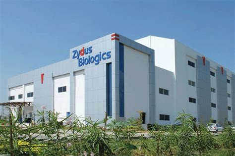 Zydus Cadila's Anti-Depressant Drug Gets US Regulatory Nod