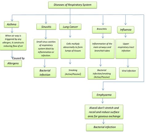 Respiratory System Concept Map