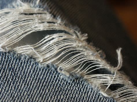 Free Images : needle, bird, wing, jeans, feather, material, sewing, thread, close up, pants ...
