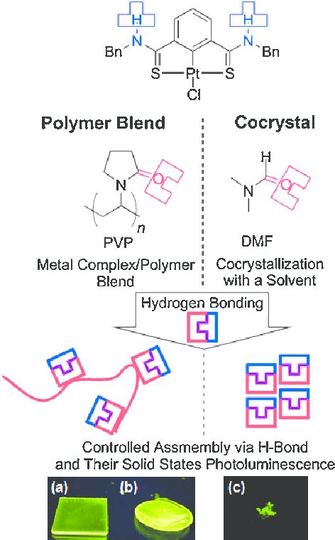 Schematic Image for photochemical properties of sec-TA-based S^C^S Pd ...