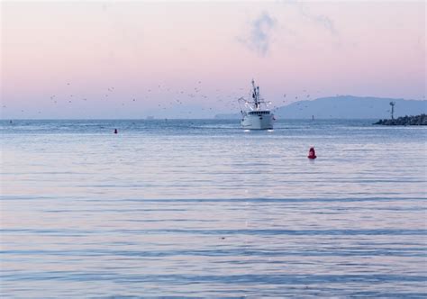 Premium Photo | Fishing boat entering Ventura harbor dawn