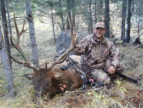 Practical Elk Hunting Tips for Regular Hunters