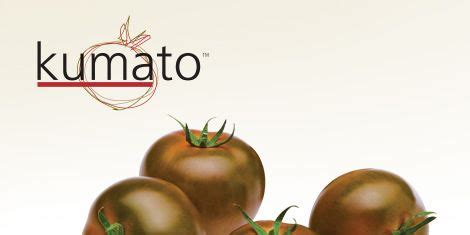 Kumato Tomato - New Brown Tomato Variety