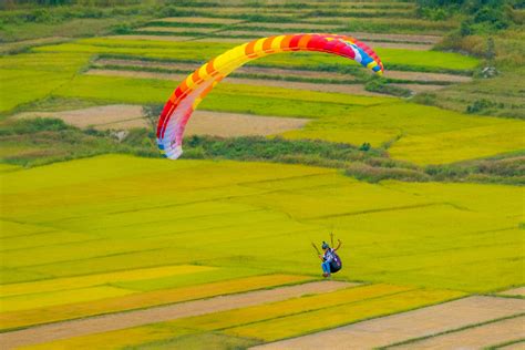 Paragliding to see Chu Dang Ya volcano » Vietnam News - Latest Updates ...