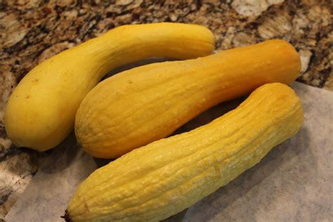 Food Garden Recipes: Yellow Squash Chips