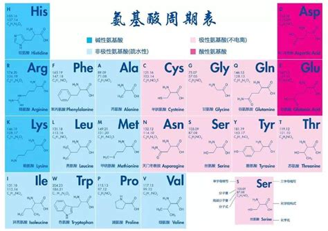 生物化学: 氨基酸结构 | 蕴瑜课堂