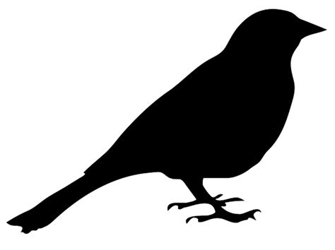 Bird PNG