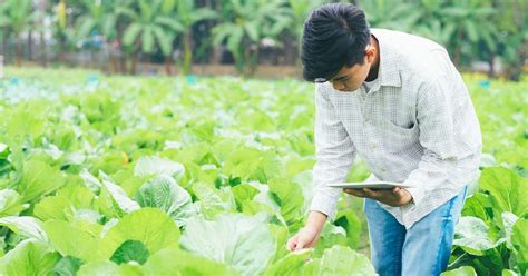 What is smart agriculture? How does it redesign the agricultural sector?