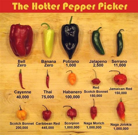 Peppers Similar To Thai Chili at James Dixon blog