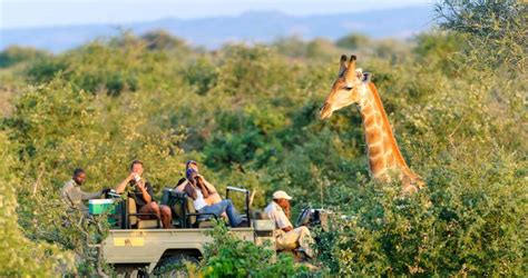 Popular Botswana Tours and Safaris by Siyabona Africa