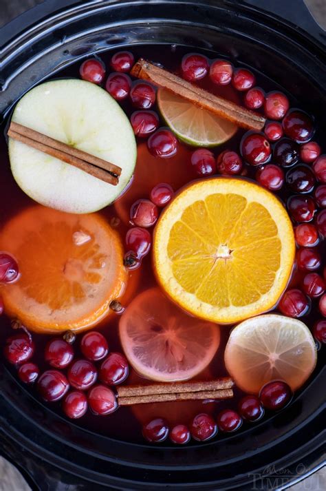 Slow Cooker Spiced Cranberry Citrus Apple Cider | Cider recipe, Cranberry drinks, Apple cider recipe