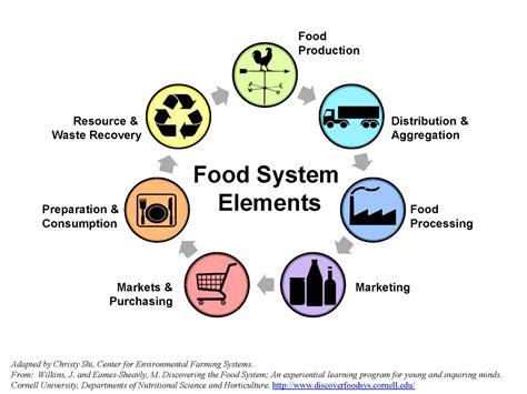 Local Food System Supply Chain | NC State Extension