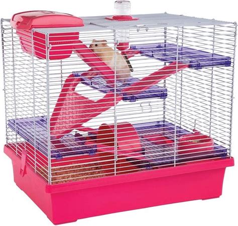 Best Mice Cages