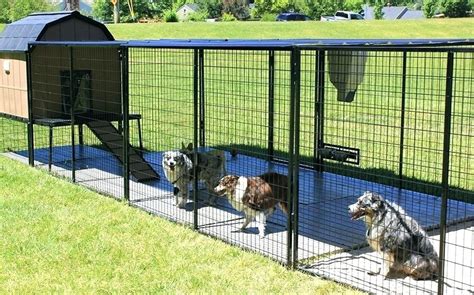 Tips on Using Outdoor Dog Enclosures & the Different Types