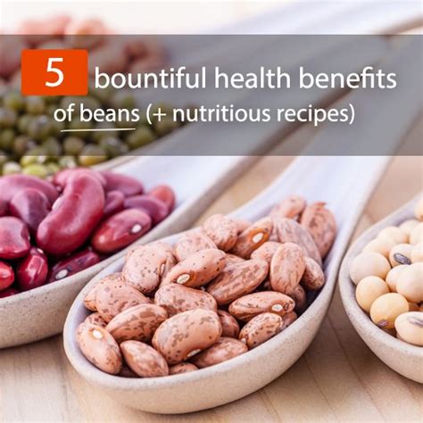 The Top 5 Bountiful Health Benefits Of Beans (+ 8 Nutritious Recipes) - Healthwholeness