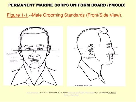 PPT - Figure 1-1 .--Male Grooming Standards (Front/Side View). PowerPoint Presentation - ID:358958