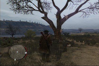 All Red Dead Redemption treasure hunting locations | GamesRadar+