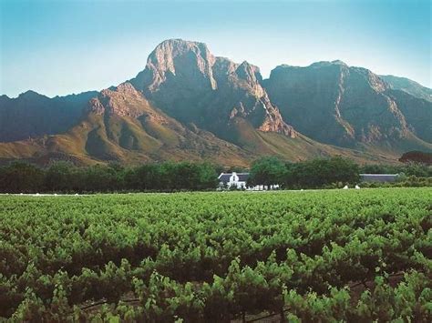 Boschendal Wine Estate In Franschhoek | Places to visit, Wine tour, Wine safari