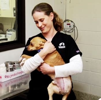 Rescue of the Month: Operation Kindness - LIFE WITH DOGS