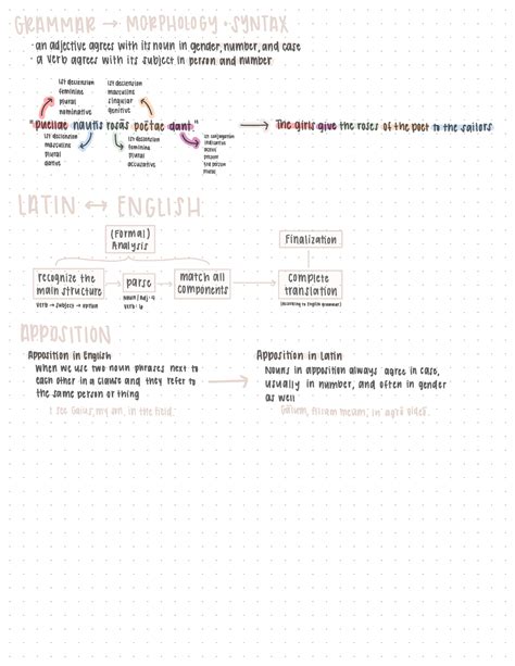 English and Latin Grammar - GRAMMAR → MORPHOLOGY + SYNTAX ####### - - Studocu