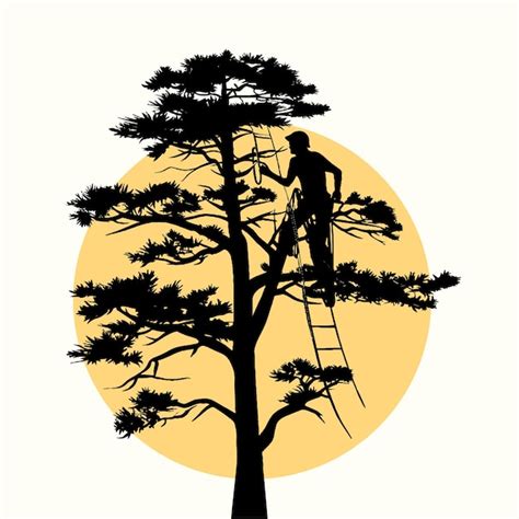 Free clip tree climbers, Download Free clip tree climbers png images ...