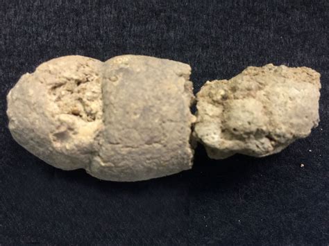 Fossil feces tell ancient human cultures apart | Science | AAAS