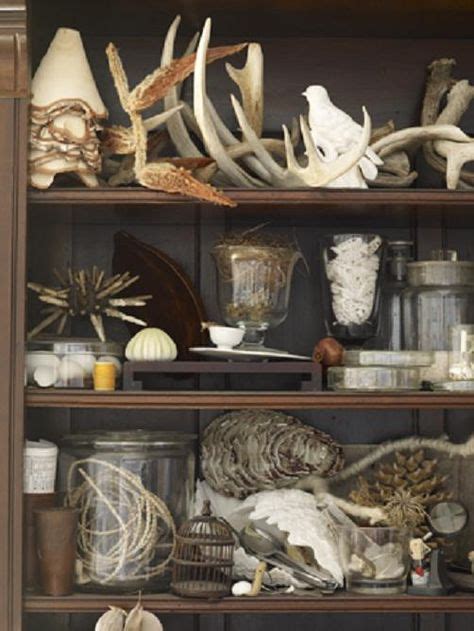 17 Best A Cabinet of Cabinets of Curiosities images | Cabinet of ...