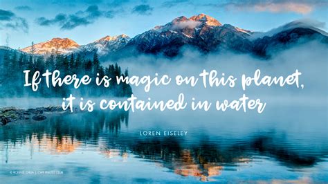 Eight quotes that illustrate why water is life – Your Connection to Wildlife