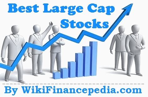 Top 10 - Best Large Cap Stocks to Buy for Long Term in India 2024