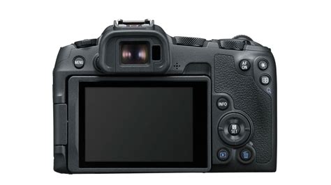 Canon's New EOS R8 Shoots 24 Megapixel Photos at up to 40fps - Nature TTL