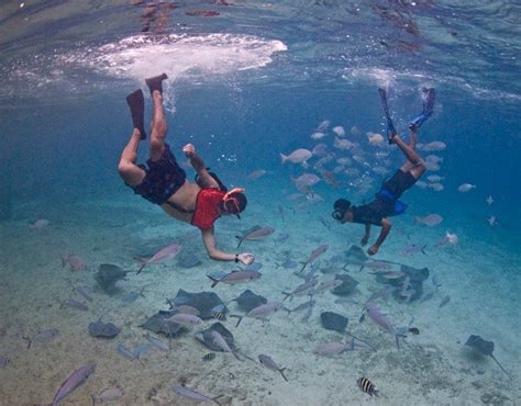 Stingray Beach Cozumel | Cozumel mexico, Cozumel, Cozumel map