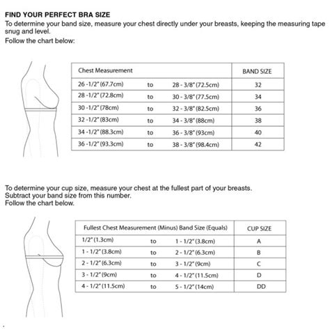 Bra Size Chart Measurements