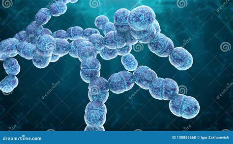 Diplococcus Bacterium 3d Render Stock Illustration - Illustration of ...